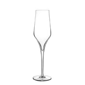 Steelite LB1127601 - Champagne Flute, 8.25 Oz, 2.75" X 9.875"