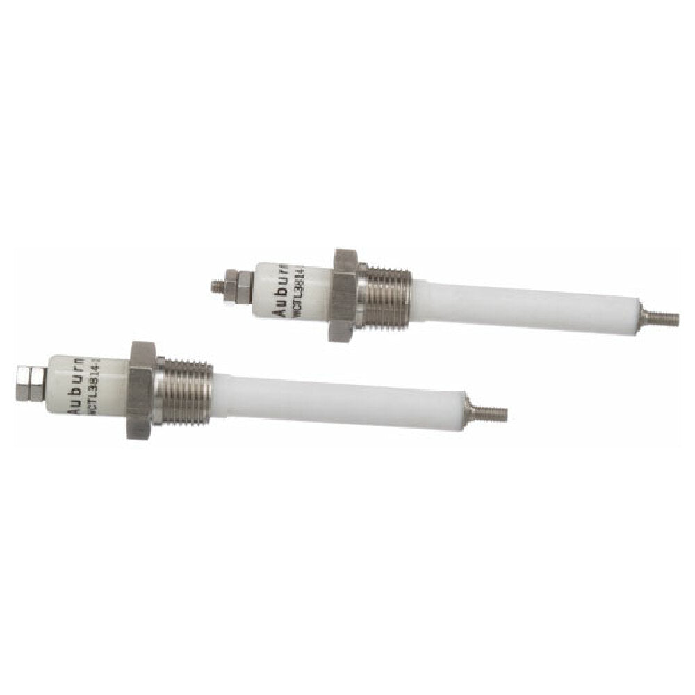 Groen 14356 Water Level Electrode 3/8 Mpt