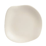 Steelite 7002DD026 Plate 7" Break Resistant