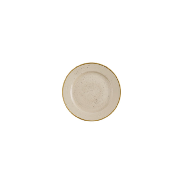 Churchill China SNMSVP101 - Plate, 10 1/4" Dia., Profile