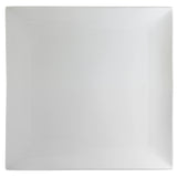 10 Strawberry St WTR-11CPSQ - Dinner Plate, 10-5/8", Coupe