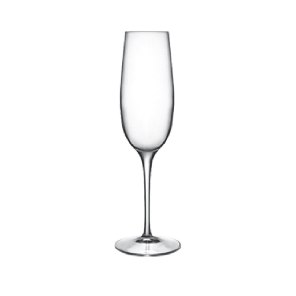 BauscherHepp 09233/06 Champagne/Flute Glass 8.25 Oz. Reinforced Rims
