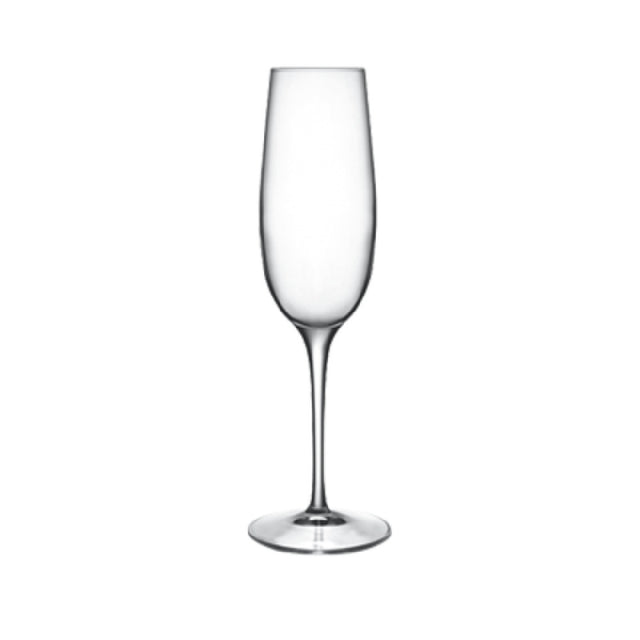 BauscherHepp 09233/06 Champagne/Flute Glass 8.25 Oz. Reinforced Rims