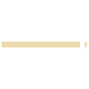 Arcobaleno Pasta Equipment AEX130 & AEX130M#21A Extruder Die 3.5 X 1.6mm Linguine
