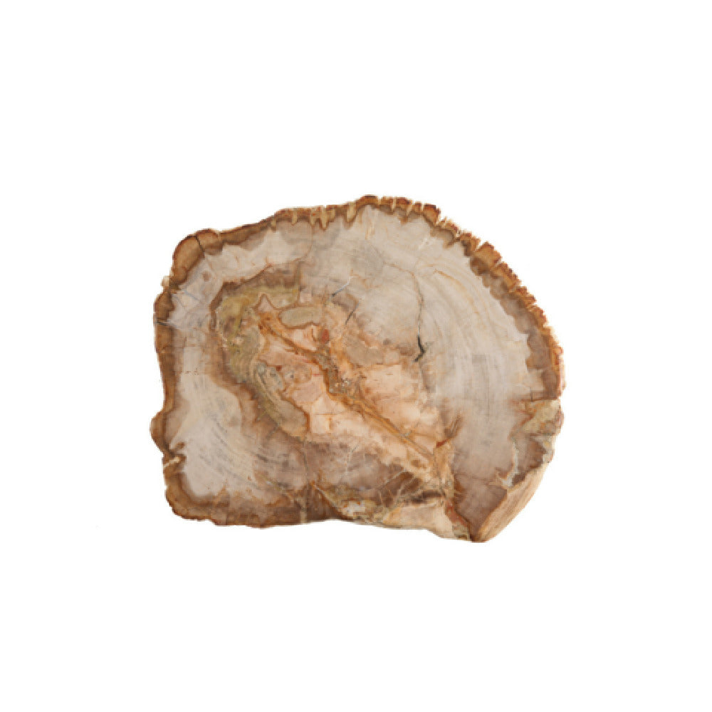 Fortessa DV.PW.0012 Petrified Platter 12" (30cm) Wood