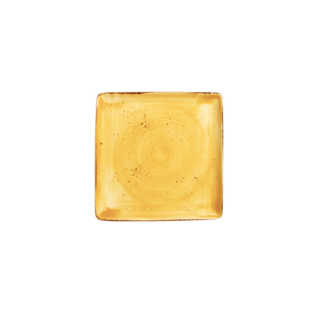 Vertex China LTR-Q16 Plate 10-1/2'' X 10-1/2'' Square