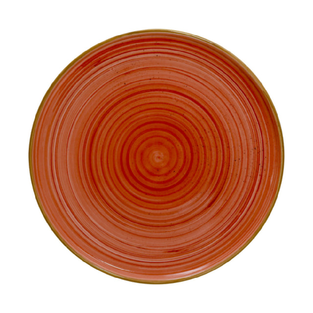 Cameo China GRD-W101 Gourmet Plate 10-1/4" Dia. (26 Cm) Round
