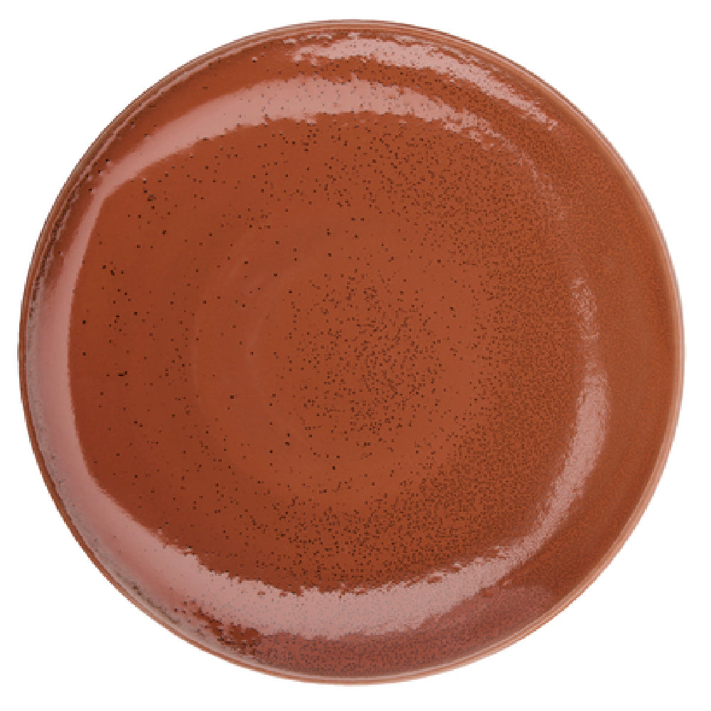 1880 Hospitality F1493025150 Oneida® Plate 10-1/4" Dia. Round