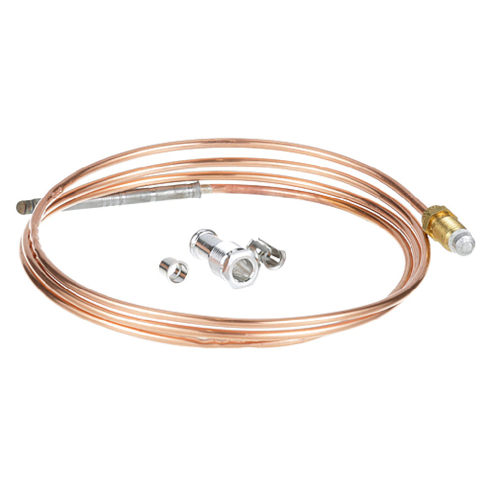 Johnson Controls K19AT-48H Thermocouple Baso Slmjim 48
