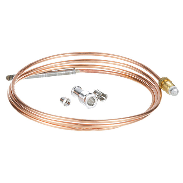 Johnson Controls K19AT-48H Thermocouple Baso Slmjim 48