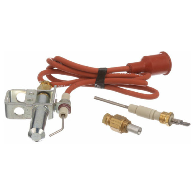 Johnson Controls J9993DDW Ignitor Pilot