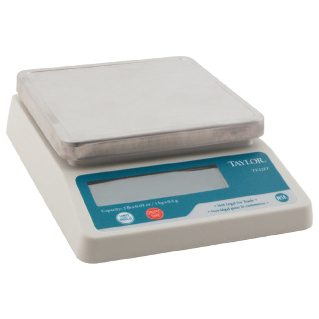 Taylor Thermometer TE32FT 5 3/8sqin Portion Scale