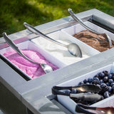 A metal container holds three flavors of ice cream—pink, white, and chocolate—each in separate bins with a stainless steel serving spoon. In front, a tray contains fresh blueberries and blackberries with tongs. The setup is outdoors on a sunny day.
