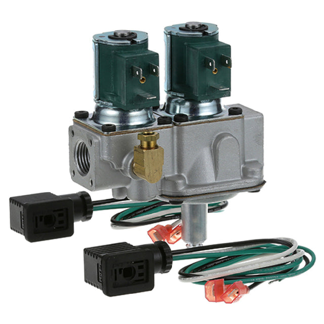 Johnson Controls G96HGH-5 Dual Gas Solenoid Valve 1/2" 25v