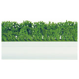 BauscherHepp D32 Finishing Touches Parsley Divider 23-1/2"L X 3-1/4"H White PVC Base