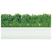 BauscherHepp D32 Finishing Touches Parsley Divider 23-1/2"L X 3-1/4"H White PVC Base