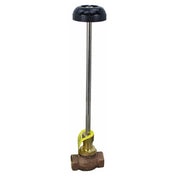 Cleveland 22197 Steam Valve