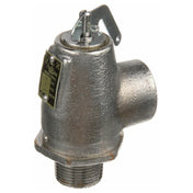 Private Label 561318 Valve Steam Safety 3/4
