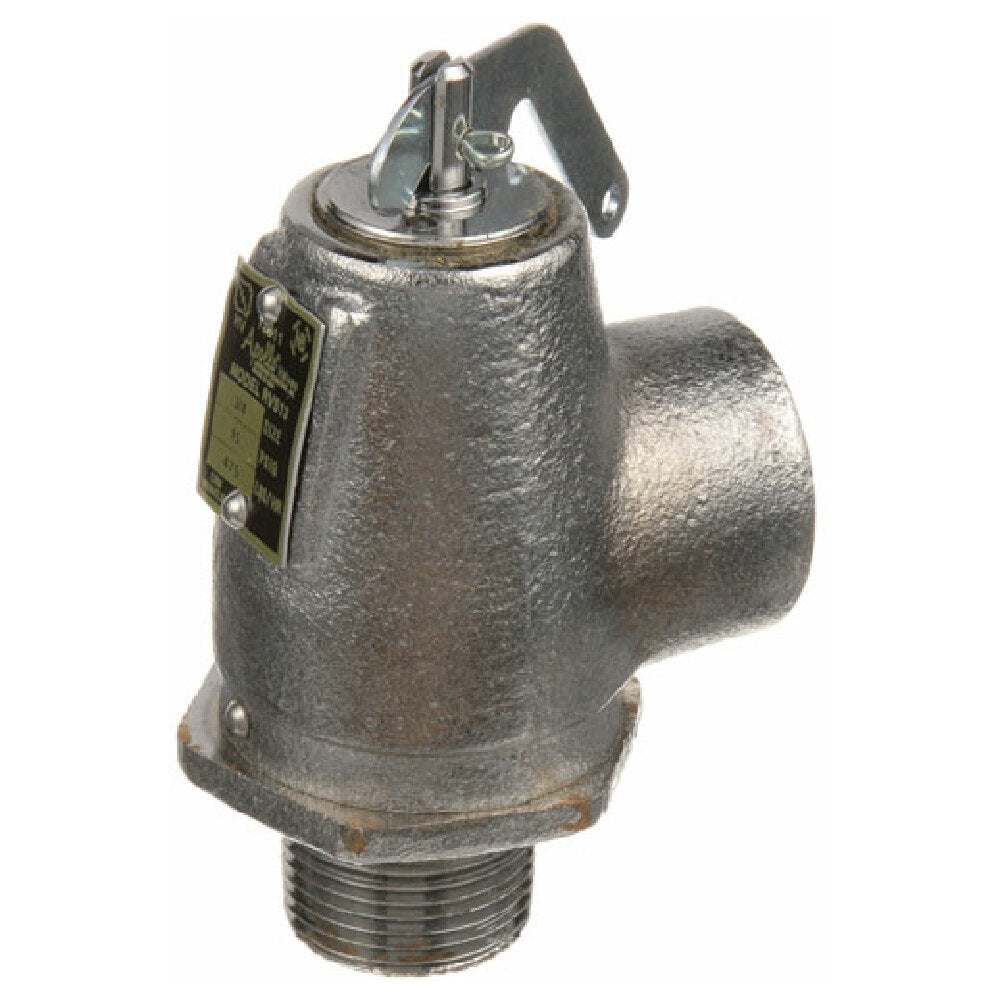 Groen 008639 Valve Steam Safety 3/4