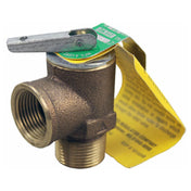 AllPoints 561353 Valve Steam Safety 3/4