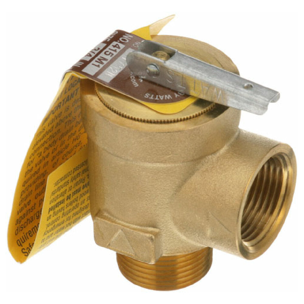 Market Forge 10-2821 Valve Steam Safety 3/4