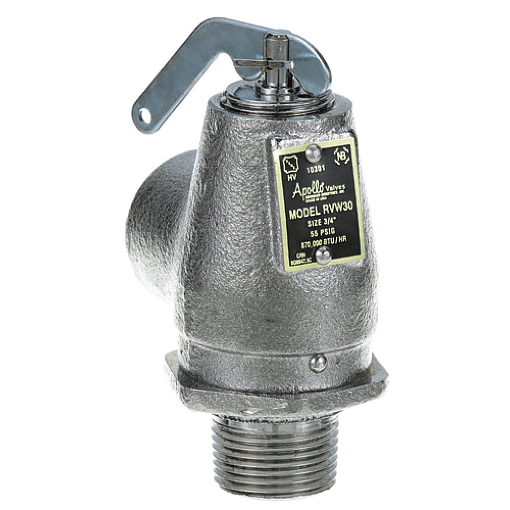 Legion 440173 Valve Steam Safety 3/4"