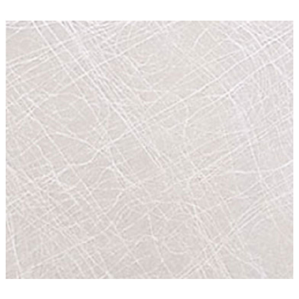 group picture