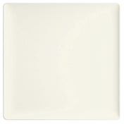 BauscherHepp 691520 Plate 7-9/10" X 7-9/10" X 4/5" Square