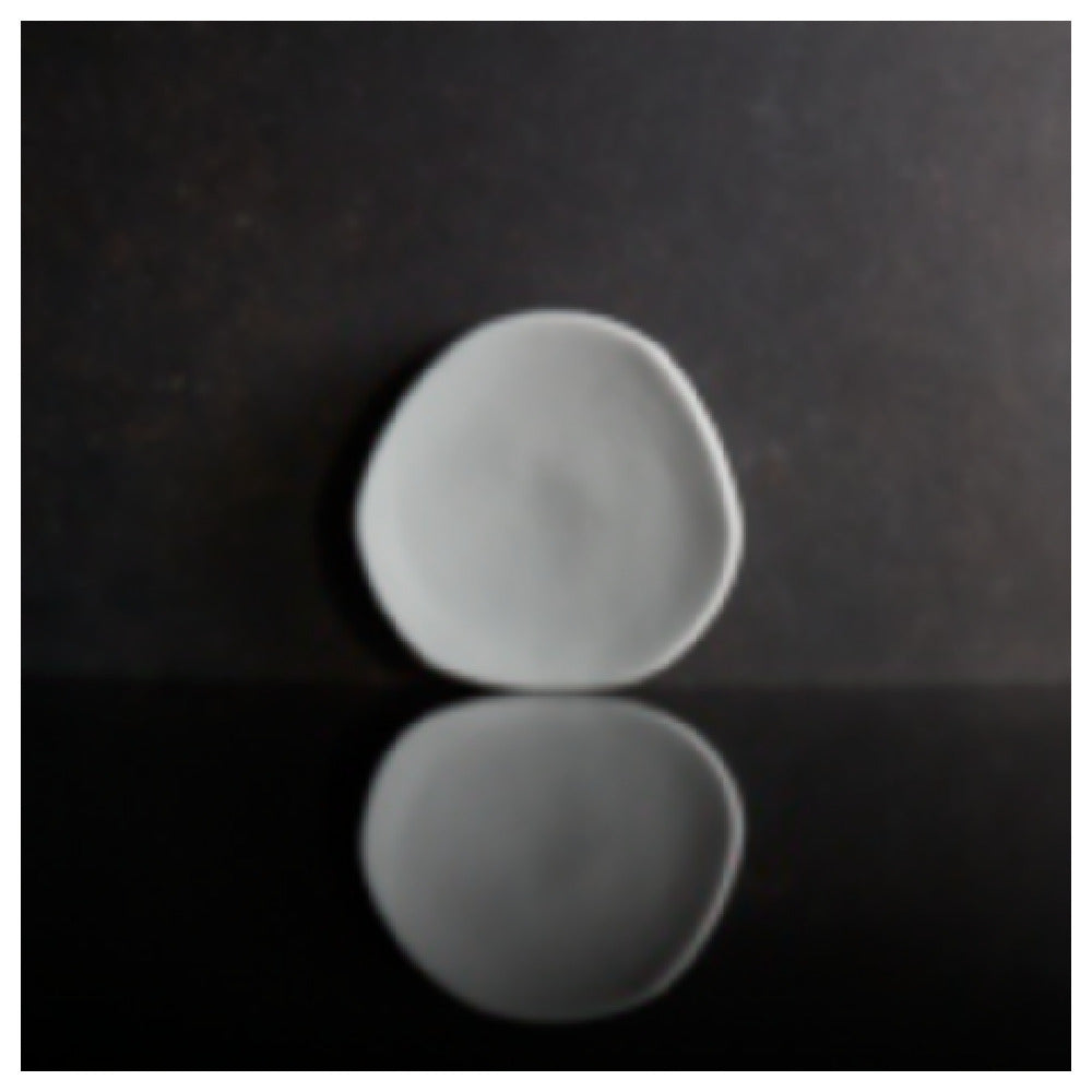 1880 Hospitality L1160000131R Plate 8" Dia. Round