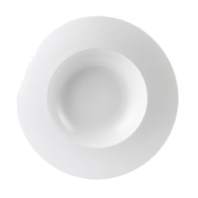 Steelite 9001C600 Large Plate 19.0 Oz 12.0"