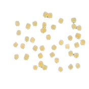 Arcobaleno Pasta Equipment AEX90 & AEX90M#278 Extruder Die 1.7mm Pastini