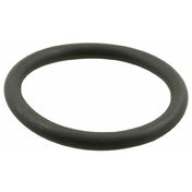 T&S Brass 10389-45 O Ring Plunger (twist Waste)