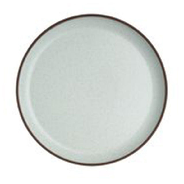 Steelite 6212RT002 Plate 9.5"Spice Sea Salt