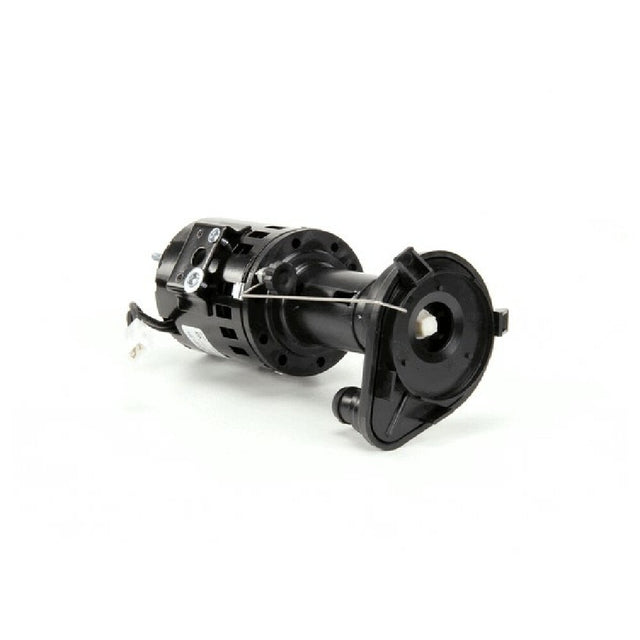 Scotsman 12258624 Pump/motor Assembly 115v