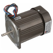 AllPoints 681300 Pump Motor
