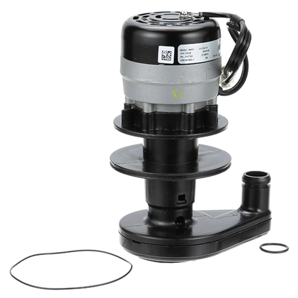Manitowoc 2007389 Water Pump 230v
