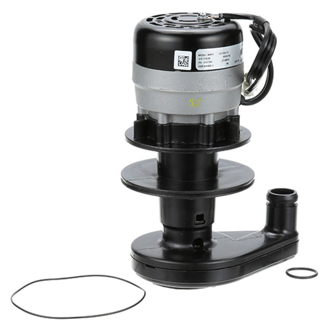 Manitowoc 2007389 Water Pump 230v