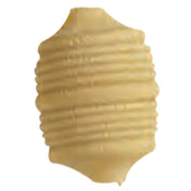 Arcobaleno Pasta Equipment AEX30STELLA#185 Extruder Die 26.5mm Orecchiette With Ridges