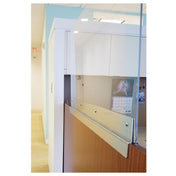 Eagle BGDW-2448 Breath Shield Divider Wall Extension 48" W X 24" H Panel