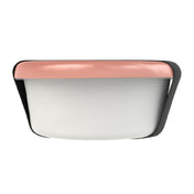 BauscherHepp B5-C2-22-SR422 Lunch Box Bowl Only 4.3" Dia. Small