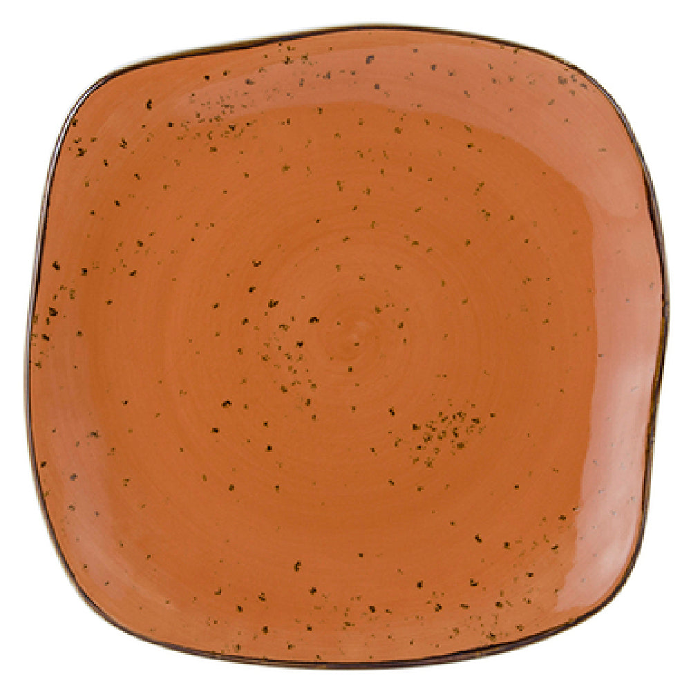 Tuxton GGC-502 Plate 11" X 11" Square