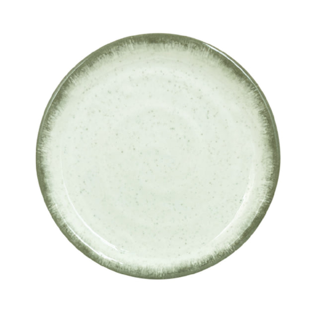 Thunder Group 1704VT Plate 4" Dia. Break-resistant