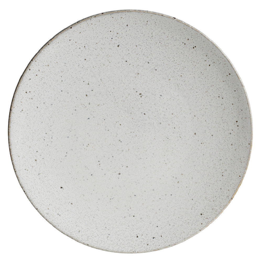 Steelite 6415MY008 Coupe Plate 9.5"Wabi Sabi Lichen