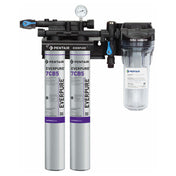 Everpure EV9797-22 Kleensteam Ii Twin System