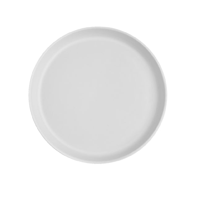 Arc Cardinal FP259 Santa Anita Reflections Glacier Gourmet Plate (D:7.88'') Stoneware