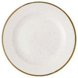 Churchill China SWHSVP581 - Plate, 10.875" Dia., Round