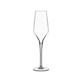 BauscherHepp 11276/01 Champagne Flute Glass 8 Oz. 9-5/8"H