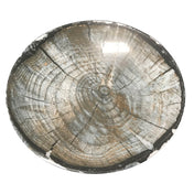 BauscherHepp 711324-360226 Plate 9-3/8" Dia. Round