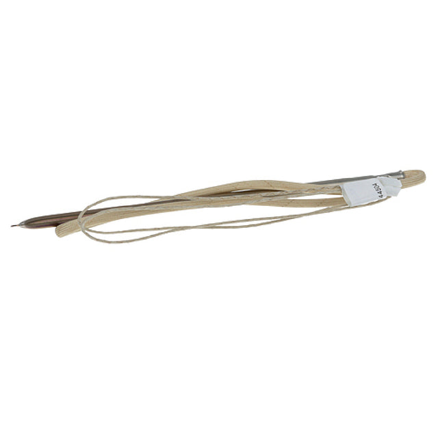 APW 1481710 Probe Electronic Griddle