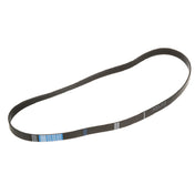 Private Label 8009935 Saniserve Serpentine Belt